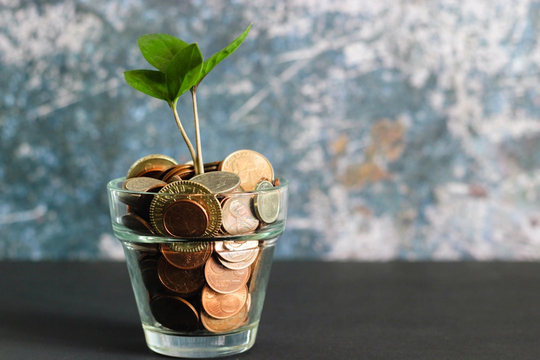 Planificación financiera